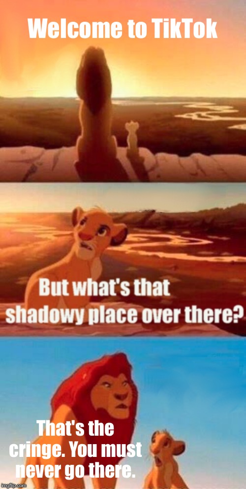 Simba Shadowy Place | Welcome to TikTok; That's the cringe. You must never go there. | image tagged in memes,simba shadowy place | made w/ Imgflip meme maker