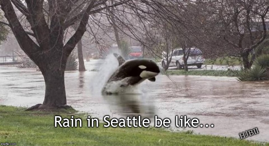 Rain in Seattle |  Rain in Seattle be like... HJBII | image tagged in rain,seattle,orca | made w/ Imgflip meme maker
