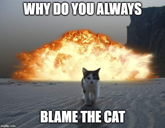 cat explosion | WHY DO YOU ALWAYS; BLAME THE CAT | image tagged in cat explosion | made w/ Imgflip meme maker