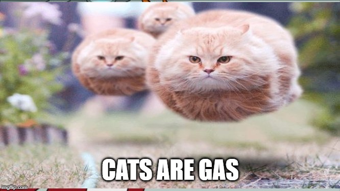 CATS ARE GAS | image tagged in bruh | made w/ Imgflip meme maker