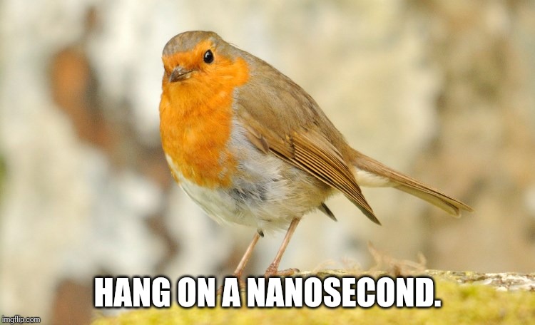 U wot m8 Robin | HANG ON A NANOSECOND. | image tagged in u wot m8 robin | made w/ Imgflip meme maker