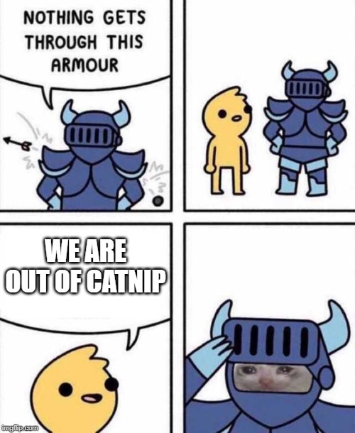Nothing Gets Through This Armour | WE ARE OUT OF CATNIP | image tagged in nothing gets through this armour | made w/ Imgflip meme maker