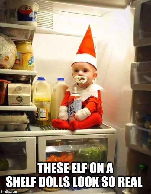 What The Elf | THESE ELF ON A SHELF DOLLS LOOK SO REAL | image tagged in elf on the shelf,refrigerator,christmas | made w/ Imgflip meme maker