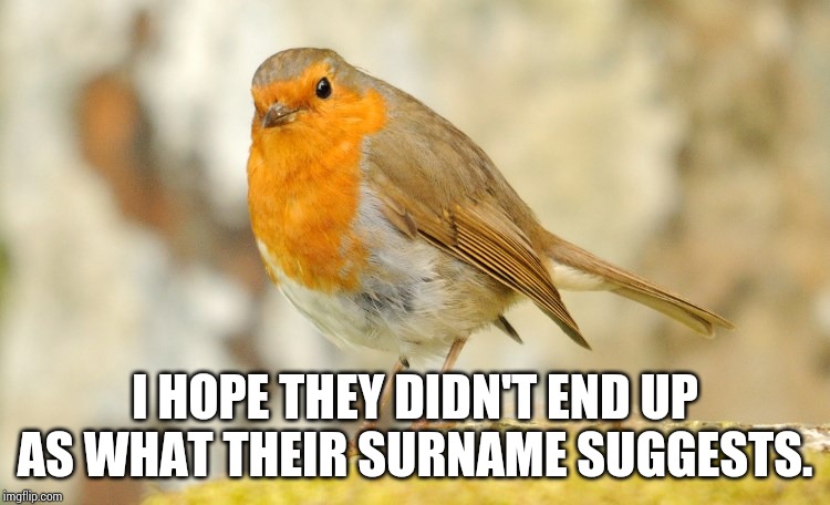 U wot m8 Robin | I HOPE THEY DIDN'T END UP AS WHAT THEIR SURNAME SUGGESTS. | image tagged in u wot m8 robin | made w/ Imgflip meme maker