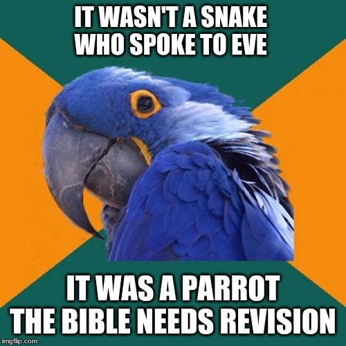 bible inaccuracies | IT WASN'T A SNAKE 
WHO SPOKE TO EVE; IT WAS A PARROT

THE BIBLE NEEDS REVISION | image tagged in memes,paranoid parrot | made w/ Imgflip meme maker