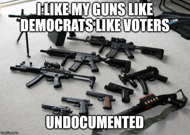 Udangstraight | I LIKE MY GUNS LIKE DEMOCRATS LIKE VOTERS; UNDOCUMENTED | image tagged in guns | made w/ Imgflip meme maker