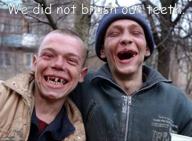 No teeth | We did not brush our teeth. | image tagged in no teeth | made w/ Imgflip meme maker