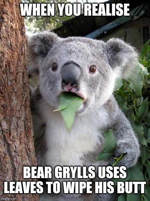 Surprised Koala | WHEN YOU REALISE; BEAR GRYLLS USES LEAVES TO WIPE HIS BUTT | image tagged in memes,surprised koala | made w/ Imgflip meme maker