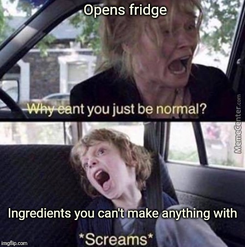 Why Can't You Just Be Normal | Opens fridge; Ingredients you can't make anything with | image tagged in why can't you just be normal | made w/ Imgflip meme maker
