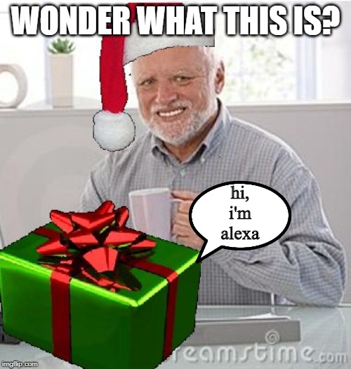 Christmas Present Hide the Pain Harold | WONDER WHAT THIS IS? hi, i'm alexa | image tagged in christmas present hide the pain harold | made w/ Imgflip meme maker