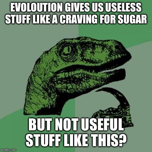 Philosoraptor Meme | EVOLOUTION GIVES US USELESS STUFF LIKE A CRAVING FOR SUGAR BUT NOT USEFUL STUFF LIKE THIS? | image tagged in memes,philosoraptor | made w/ Imgflip meme maker