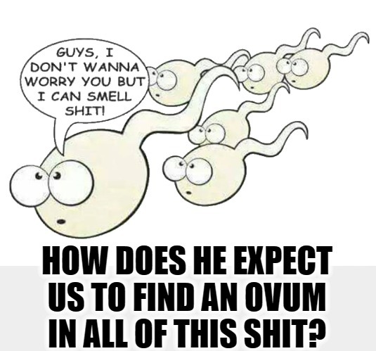 How does he expect us to find an ovum in all of this shit? | image tagged in gay sperm,hershey highway,anal sex,butt nut,nutter butter,gay shit | made w/ Imgflip meme maker