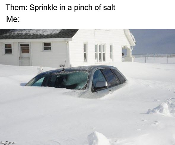 Snow storm Large | Them: Sprinkle in a pinch of salt; Me: | image tagged in snow storm large | made w/ Imgflip meme maker