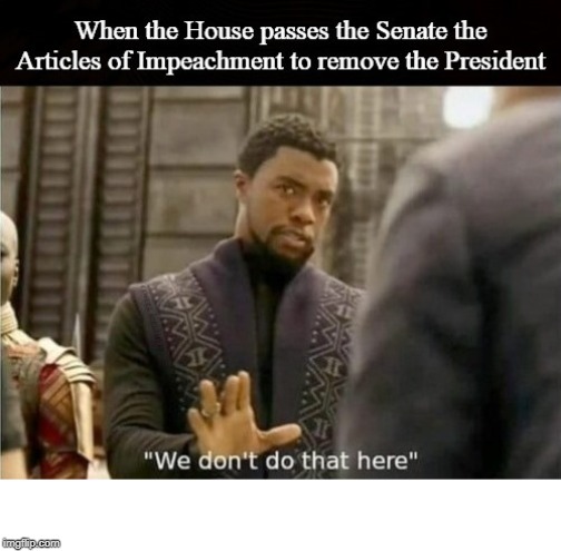 Black Panther No Impeachment | image tagged in black panther no impeachment | made w/ Imgflip meme maker