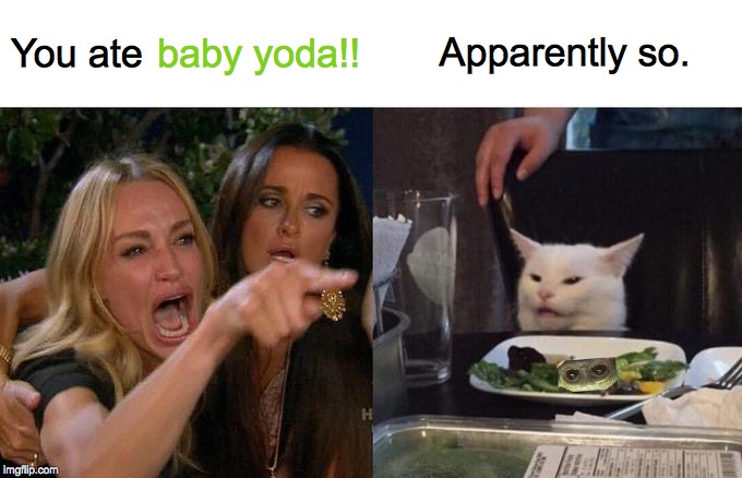 Woman Yelling At Cat Meme | Apparently so. You ate; baby yoda!! | image tagged in memes,woman yelling at cat,baby yoda,smudge the cat,angry lady cat,star wars | made w/ Imgflip meme maker