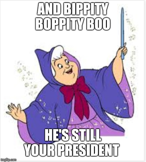 AND BIPPITY BOPPITY BOO; HE'S STILL YOUR PRESIDENT | image tagged in trump,election 2020,nancy pelosi,impeachment,too bad | made w/ Imgflip meme maker