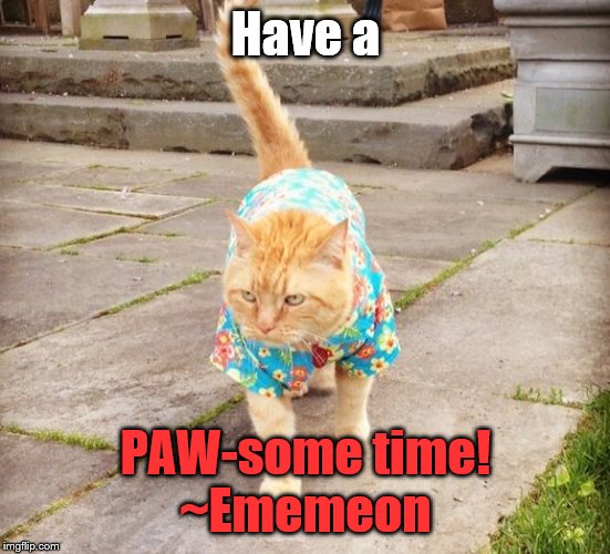 hawaii cat | Have a PAW-some time!
~Ememeon | image tagged in hawaii cat | made w/ Imgflip meme maker