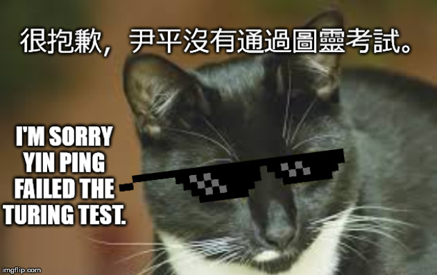 image tagged in i'm sorry,yin ping,failed turing,sorrynotsorry,freechina,free china | made w/ Imgflip meme maker