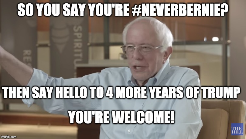 Bernie | SO YOU SAY YOU'RE #NEVERBERNIE? THEN SAY HELLO TO 4 MORE YEARS OF TRUMP; YOU'RE WELCOME! | image tagged in bernie | made w/ Imgflip meme maker