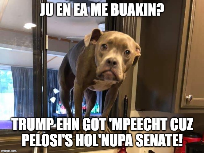 You ain't hear me barking? | JU EN EA ME BUAKIN? TRUMP EHN GOT 'MPEECHT CUZ
PELOSI'S HOL'NUPA SENATE! | image tagged in you ain't hear me barking | made w/ Imgflip meme maker