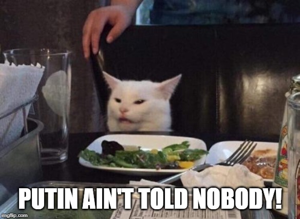 Smudge the Cat | PUTIN AIN'T TOLD NOBODY! | image tagged in smudge the cat | made w/ Imgflip meme maker