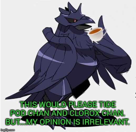The_Tea_Drinking_Corviknight | THIS WOULD PLEASE TIDE POD CHAN AND CLOROX CHAN. BUT...MY OPINION IS IRRELEVANT. | image tagged in the_tea_drinking_corviknight | made w/ Imgflip meme maker