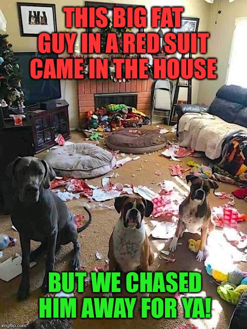 The three unwise dogs | THIS BIG FAT GUY IN A RED SUIT CAME IN THE HOUSE; BUT WE CHASED HIM AWAY FOR YA! | image tagged in dogs,christmas,funny,christmas memes | made w/ Imgflip meme maker