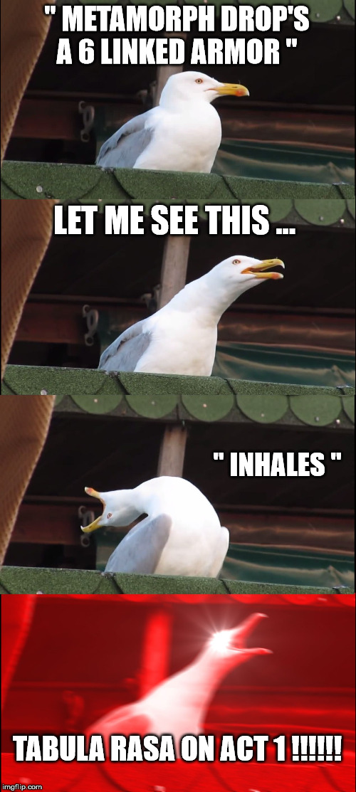 Inhaling Seagull | " METAMORPH DROP'S A 6 LINKED ARMOR "; LET ME SEE THIS ... " INHALES "; TABULA RASA ON ACT 1 !!!!!! | image tagged in memes,inhaling seagull | made w/ Imgflip meme maker