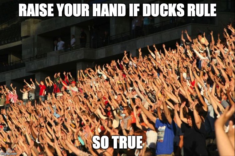 Raise your hands crowd | RAISE YOUR HAND IF DUCKS RULE; SO TRUE | image tagged in raise your hands crowd | made w/ Imgflip meme maker