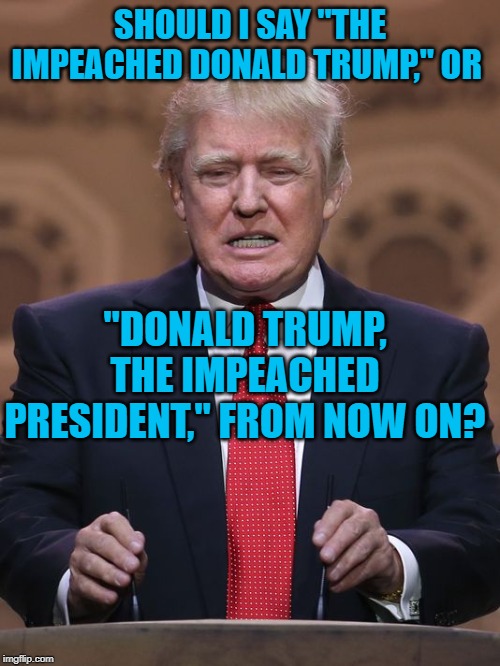 Donald Trump | SHOULD I SAY "THE IMPEACHED DONALD TRUMP," OR; "DONALD TRUMP, THE IMPEACHED PRESIDENT," FROM NOW ON? | image tagged in donald trump | made w/ Imgflip meme maker