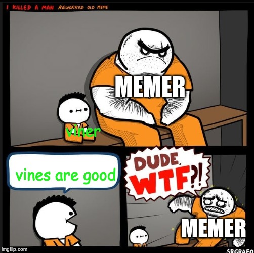 Srgrafo dude wtf | MEMER; viner; vines are good; MEMER | image tagged in srgrafo dude wtf | made w/ Imgflip meme maker
