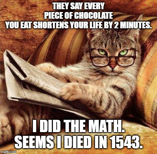 chocolate kills? | THEY SAY EVERY PIECE OF CHOCOLATE YOU EAT SHORTENS YOUR LIFE BY 2 MINUTES. I DID THE MATH. SEEMS I DIED IN 1543. | image tagged in smart cat,cat humor,chocolate | made w/ Imgflip meme maker