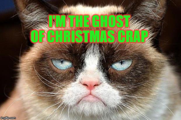 Grumpy Cat Not Amused Meme | I'M THE GHOST OF CHRISTMAS CRAP | image tagged in memes,grumpy cat not amused,grumpy cat | made w/ Imgflip meme maker