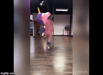 3k5zo9.gif