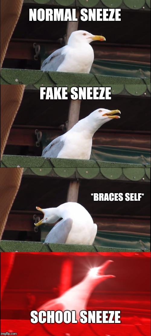 Inhaling Seagull | NORMAL SNEEZE; FAKE SNEEZE; *BRACES SELF*; SCHOOL SNEEZE | image tagged in memes,inhaling seagull | made w/ Imgflip meme maker
