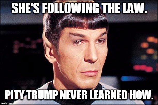 Condescending Spock | SHE'S FOLLOWING THE LAW. PITY TRUMP NEVER LEARNED HOW. | image tagged in condescending spock | made w/ Imgflip meme maker