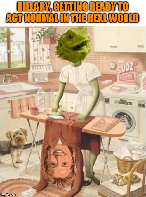 Why did Hillary jump in the blender? To blend in. (Lame Joke) | HILLARY, GETTING READY TO ACT NORMAL IN THE REAL WORLD | image tagged in hillary clinton,lizard people,lizard,memes,conspiracy theory,politics | made w/ Imgflip meme maker