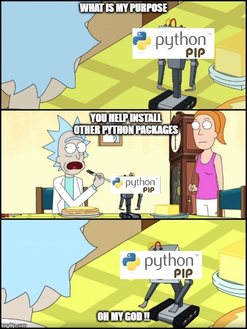 Rick and Morty Butter | WHAT IS MY PURPOSE; YOU HELP INSTALL OTHER PYTHON PACKAGES; OH MY GOD !! | image tagged in rick and morty butter | made w/ Imgflip meme maker