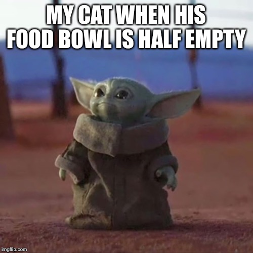 Baby Yoda | MY CAT WHEN HIS FOOD BOWL IS HALF EMPTY | image tagged in baby yoda | made w/ Imgflip meme maker