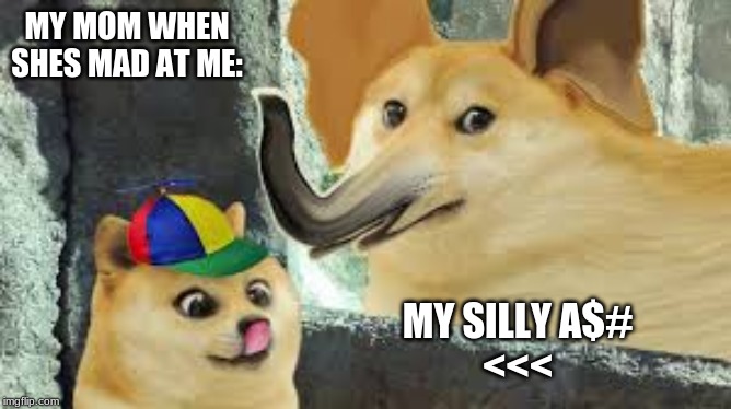 My mom when shes mad at me | MY MOM WHEN SHES MAD AT ME:; MY SILLY A$#
<<< | image tagged in doge | made w/ Imgflip meme maker