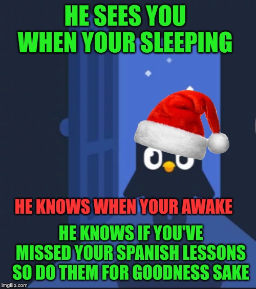 Duolingo bird | HE SEES YOU WHEN YOUR SLEEPING; HE KNOWS WHEN YOUR AWAKE; HE KNOWS IF YOU'VE MISSED YOUR SPANISH LESSONS SO DO THEM FOR GOODNESS SAKE | image tagged in duolingo bird | made w/ Imgflip meme maker