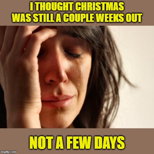 Time Flies | I THOUGHT CHRISTMAS WAS STILL A COUPLE WEEKS OUT; NOT A FEW DAYS | image tagged in memes,first world problems,christmas memes,almost over,happy holidays | made w/ Imgflip meme maker