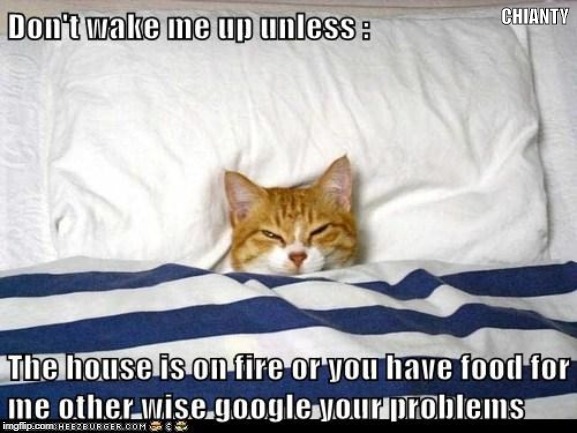 oon't wake me | CHIANTY | image tagged in google | made w/ Imgflip meme maker