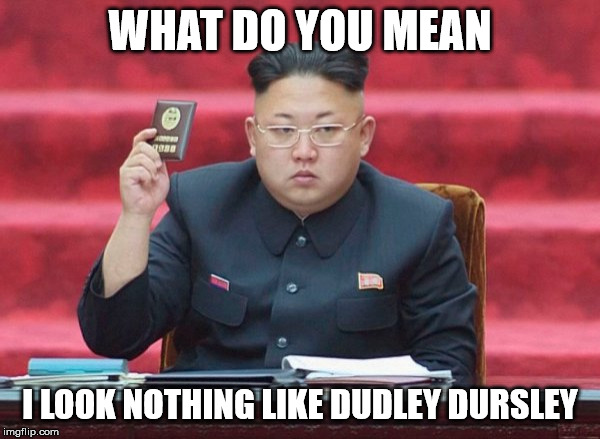 Kim Jong Un Meme | WHAT DO YOU MEAN; I LOOK NOTHING LIKE DUDLEY DURSLEY | image tagged in kim jong un,dudley dursley | made w/ Imgflip meme maker