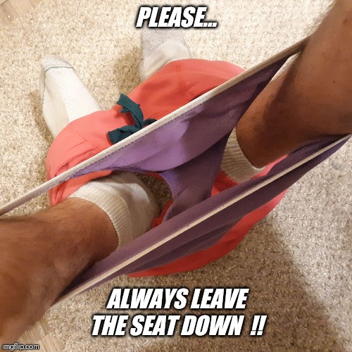 Come on guy's... keep the seat down and clean  !! | PLEASE... ALWAYS LEAVE THE SEAT DOWN  !! | image tagged in toilet seat,down,courtesy | made w/ Imgflip meme maker