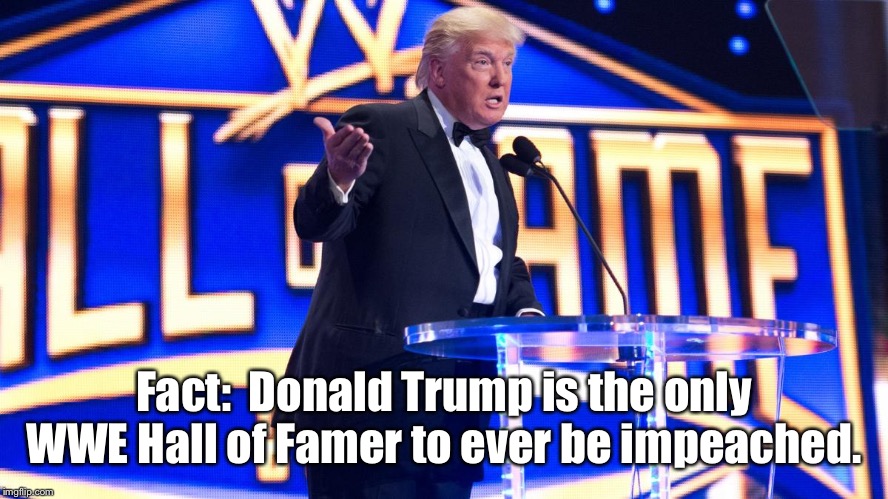 Yuuuge. | Fact:  Donald Trump is the only WWE Hall of Famer to ever be impeached. | image tagged in donald trump,wwe,hall of fame | made w/ Imgflip meme maker