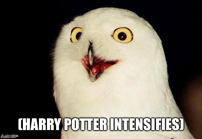 Orly Owl | (HARRY POTTER INTENSIFIES) | image tagged in orly owl | made w/ Imgflip meme maker