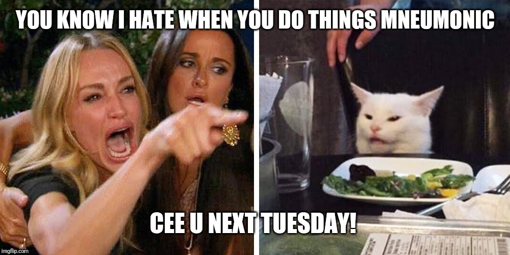 Smudge the cat | YOU KNOW I HATE WHEN YOU DO THINGS MNEUMONIC; CEE U NEXT TUESDAY! | image tagged in smudge the cat | made w/ Imgflip meme maker
