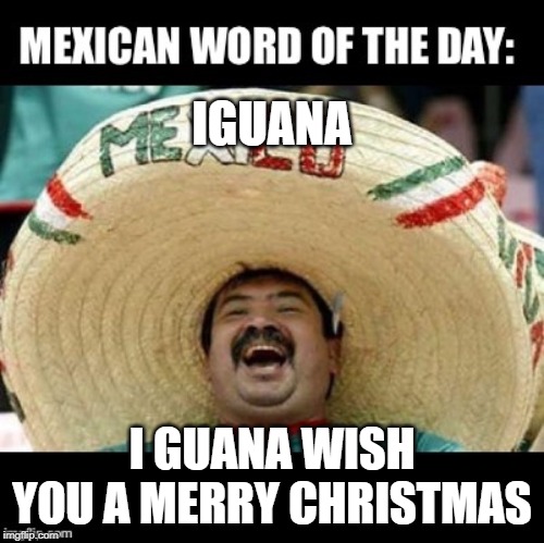 Iguana wish you a merry christmas | IGUANA; I GUANA WISH YOU A MERRY CHRISTMAS | image tagged in mexican word of the day large | made w/ Imgflip meme maker