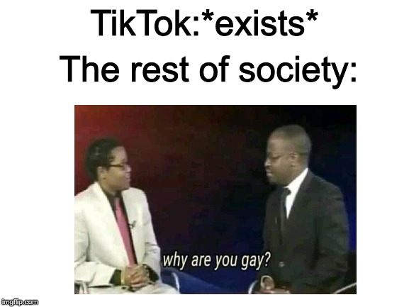 TikTok is cringe | TikTok:*exists*; The rest of society: | image tagged in blank white template,why are you gay | made w/ Imgflip meme maker